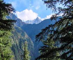 Manali Vacation Package