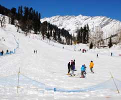 Manali Tour