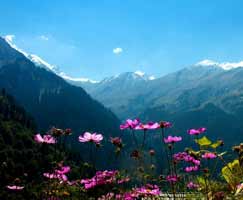 Honeymoon Tour To Manali